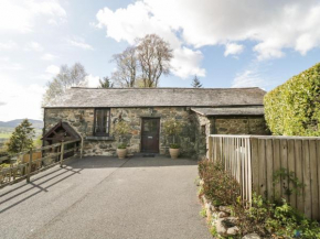 Cyffdy Cottage - Arenig, Bala